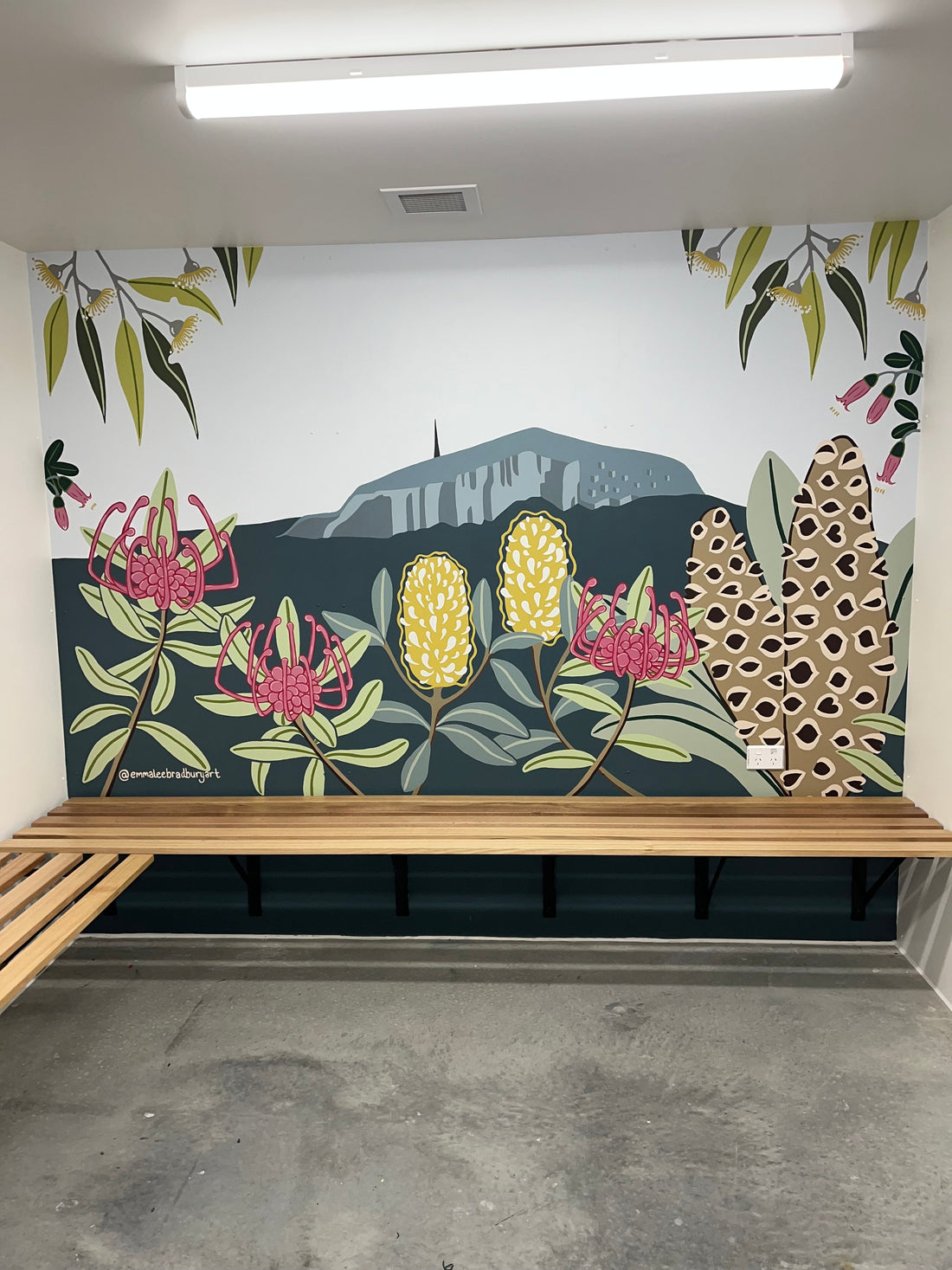 Master Builders Tasmania HQ Murals – Hobart