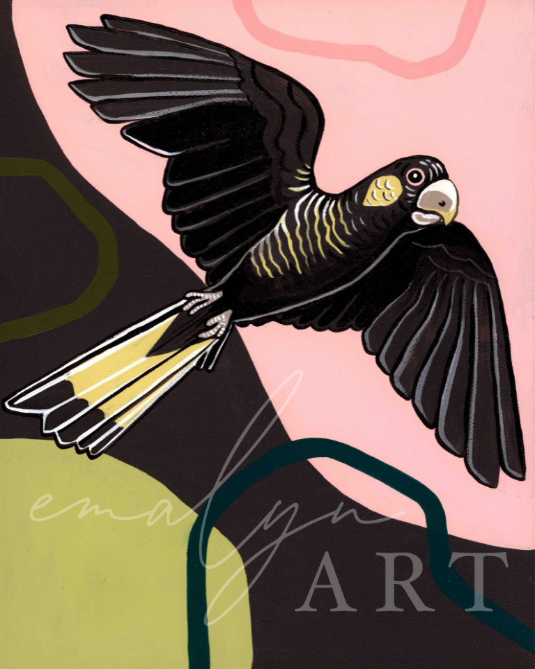 Black Cockatoo