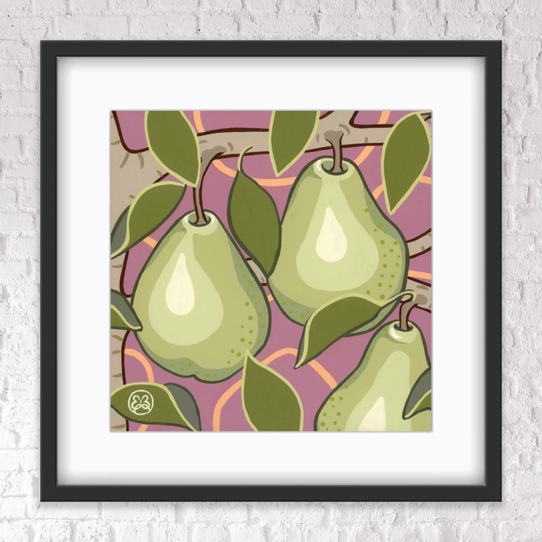Pear Collection - Packhams