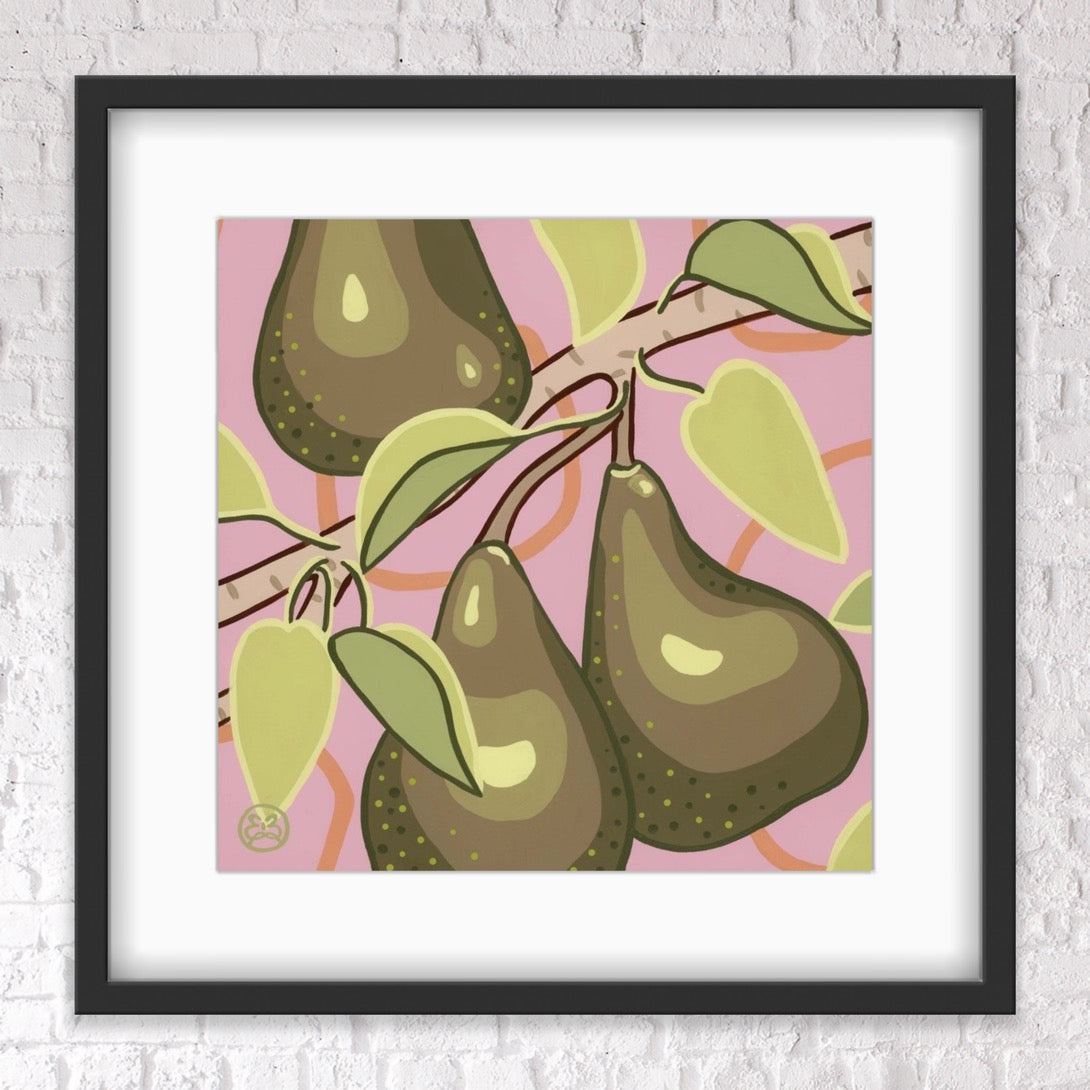 Pear Collection - Beurre Boscs