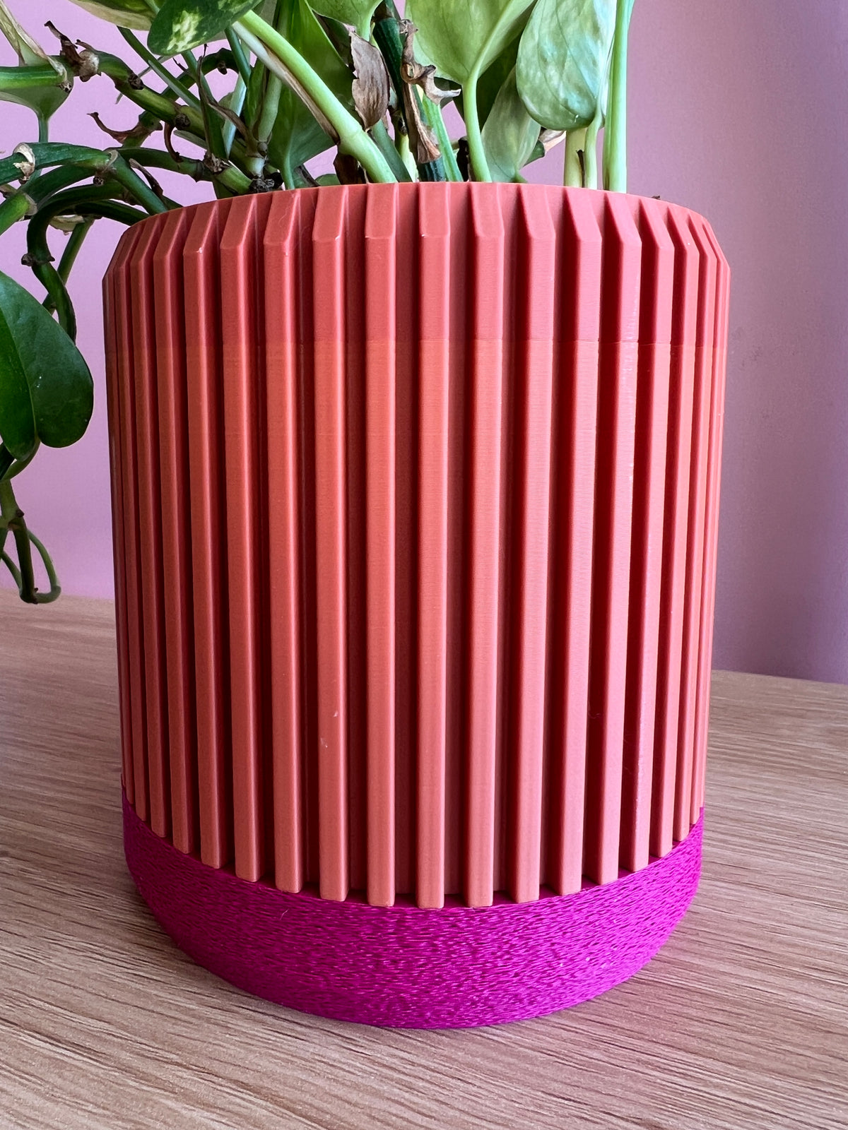 Terracotta and Fuchsia Planter