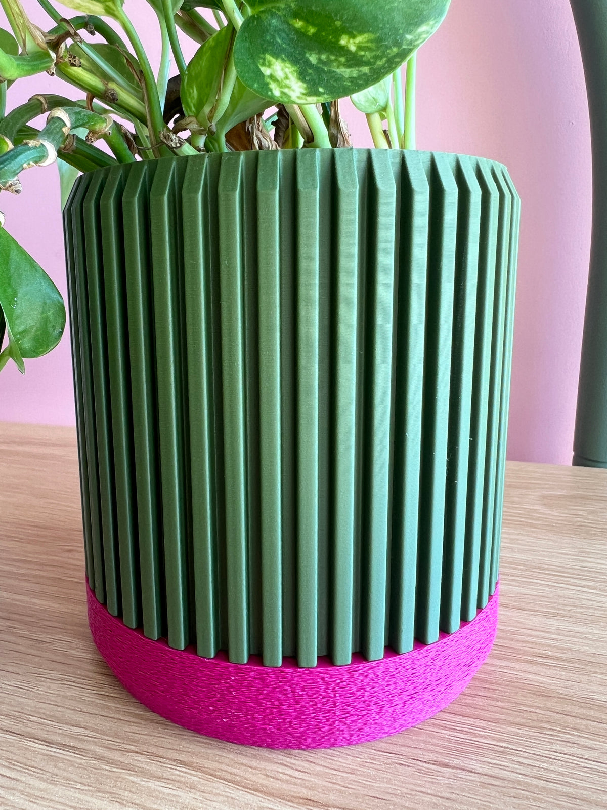 Olive and Fuchsia Planter