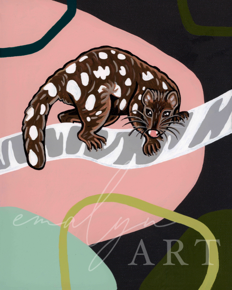 Spotty Quoll