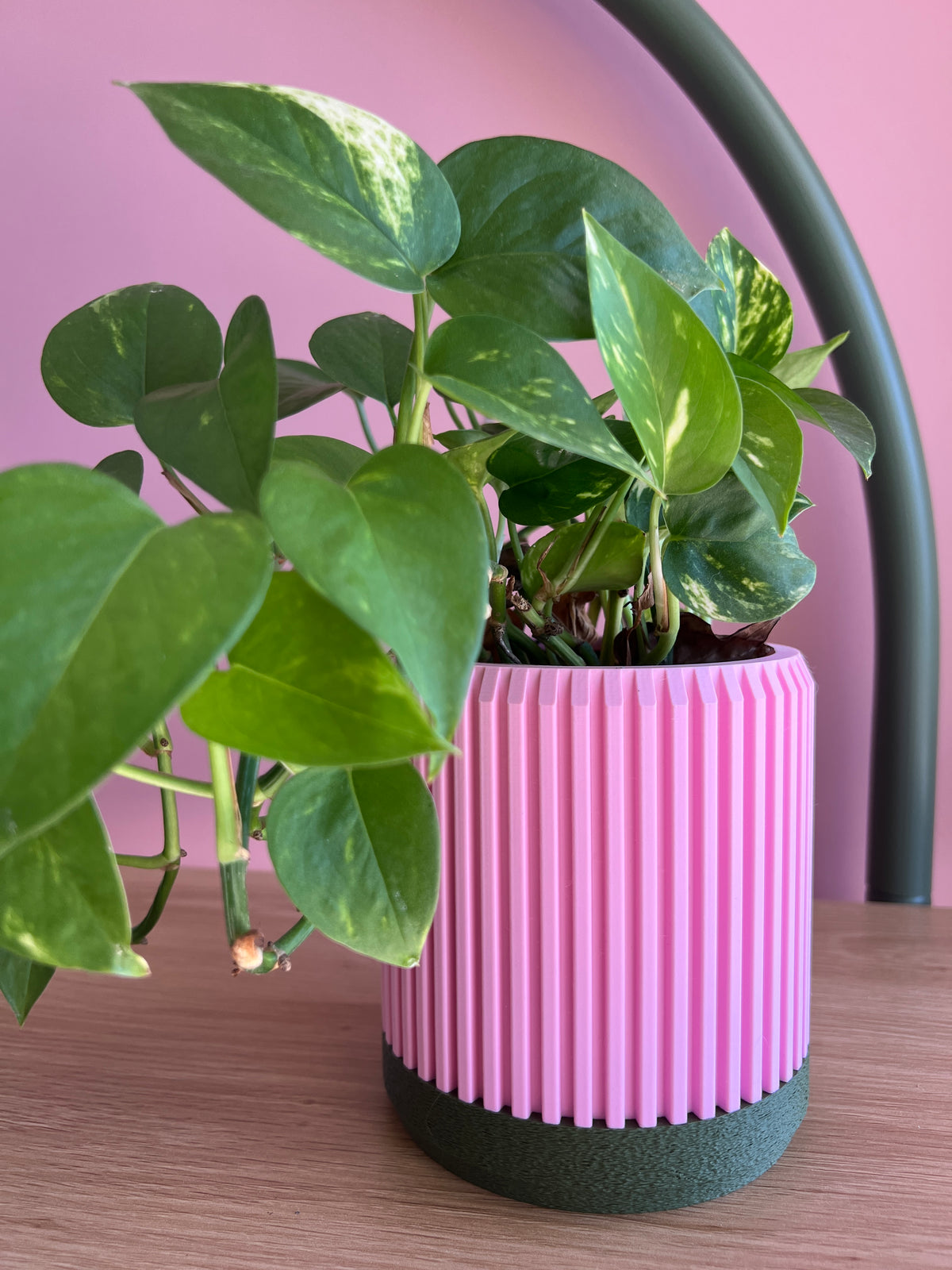 Pink and Olive Planter