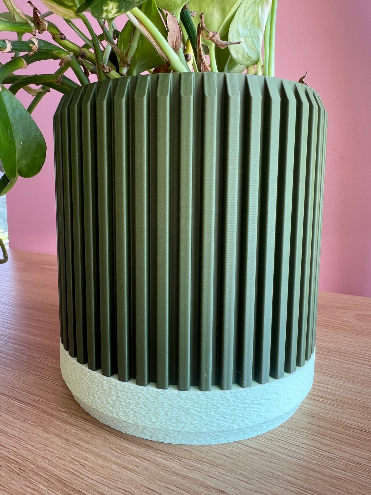 Olive and Mint Planter
