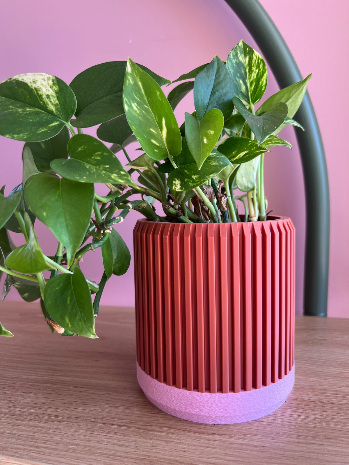 Terracotta and Pink Planter