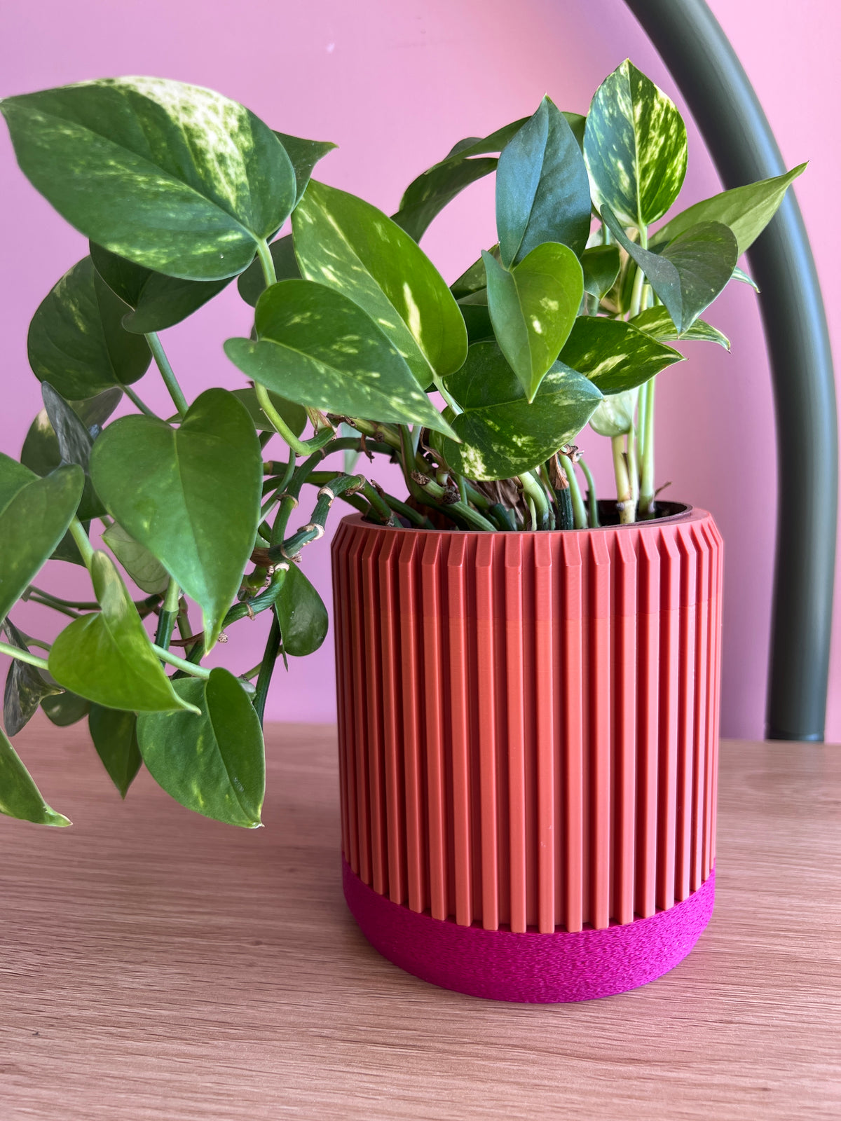 Terracotta and Fuchsia Planter