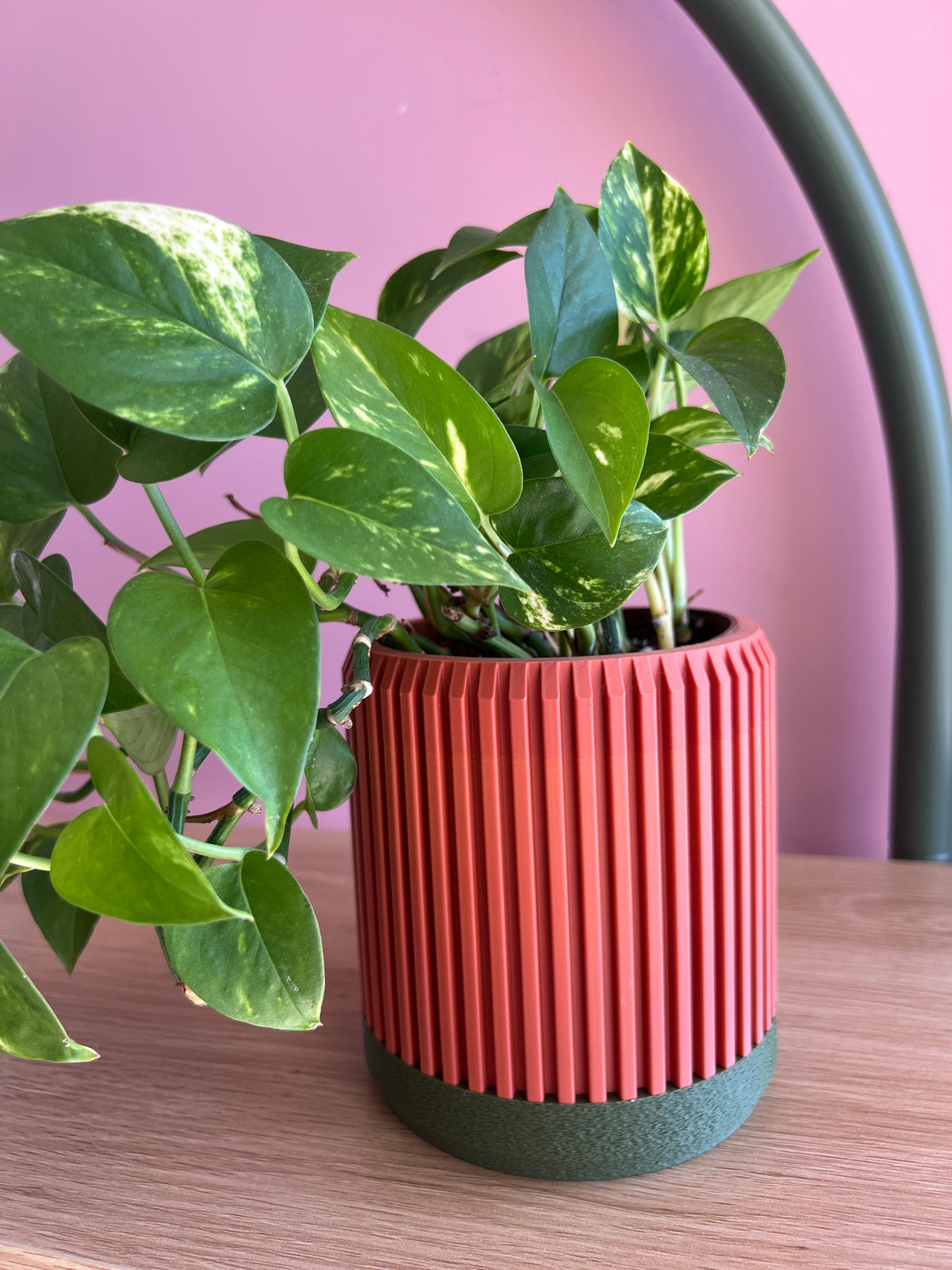 Terracotta and Olive Planter