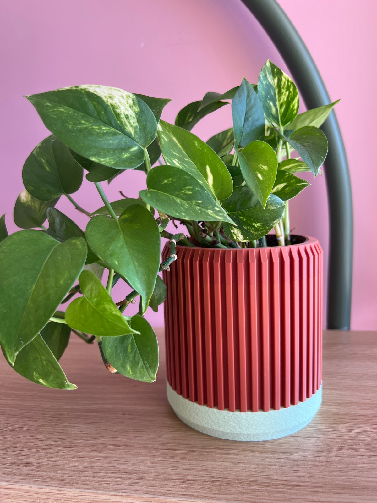 Terracotta and Mint Planter