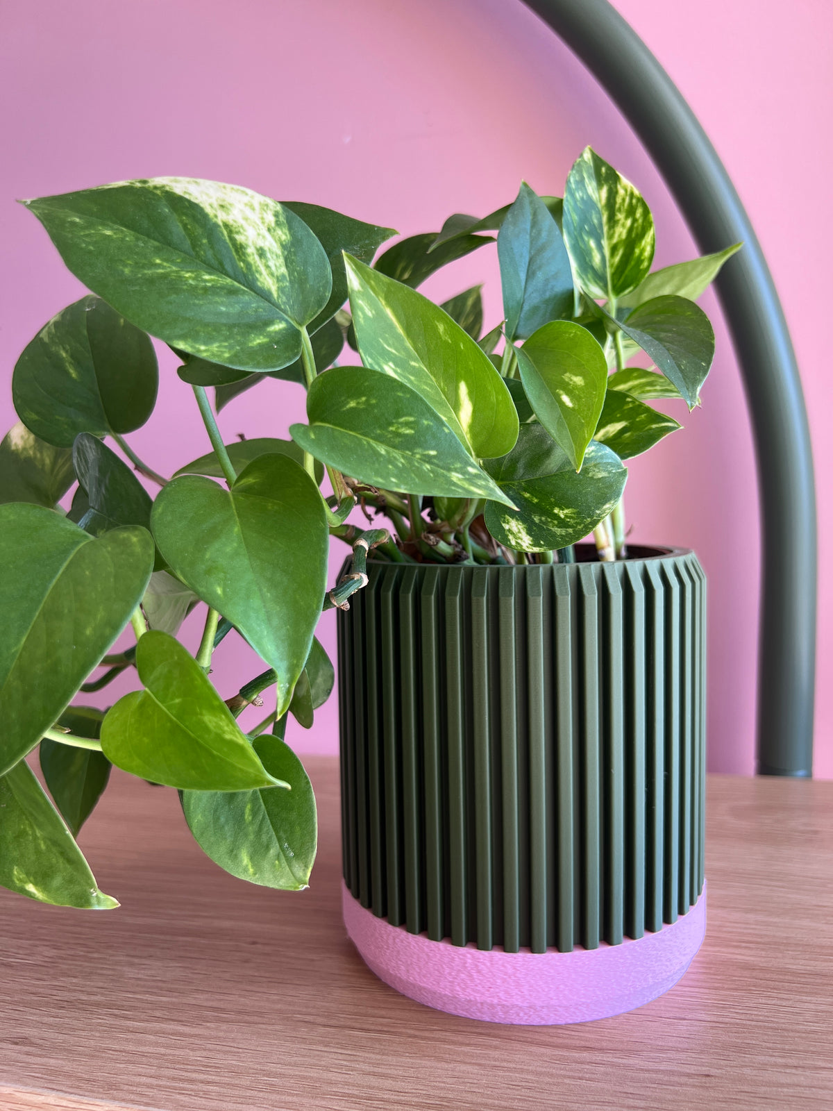 Olive and Pink Planter