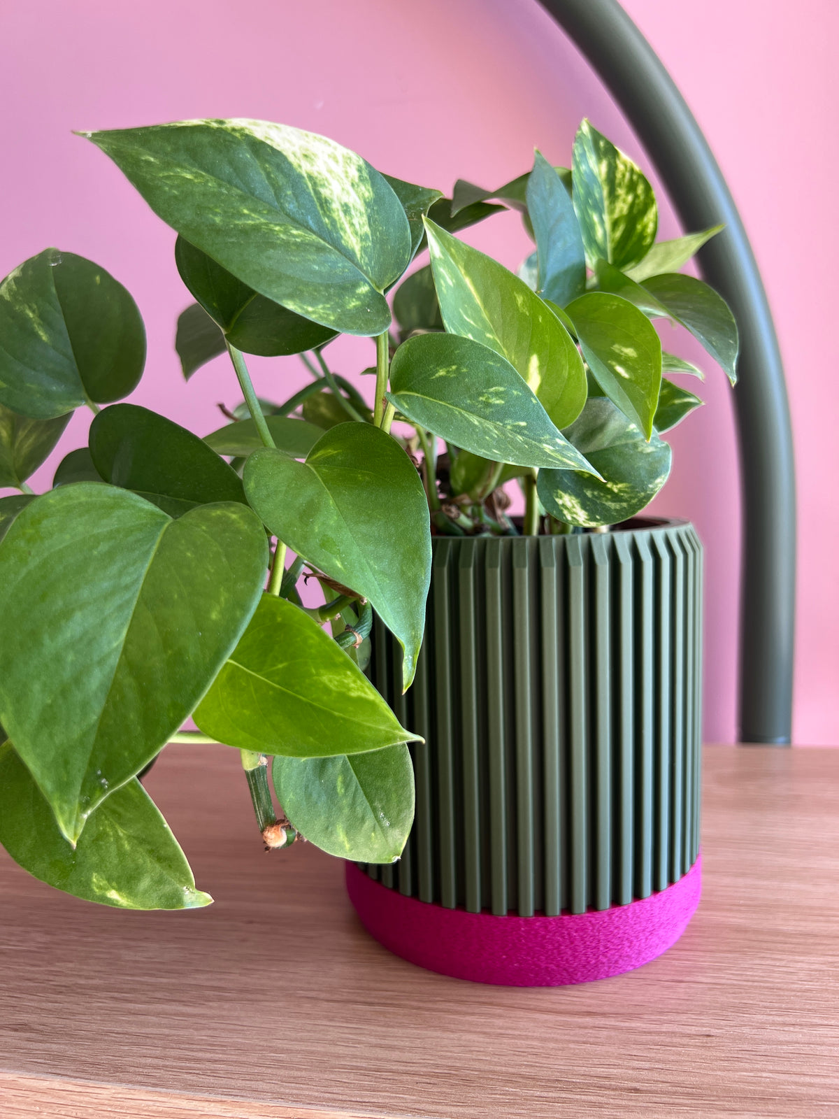 Olive and Fuchsia Planter