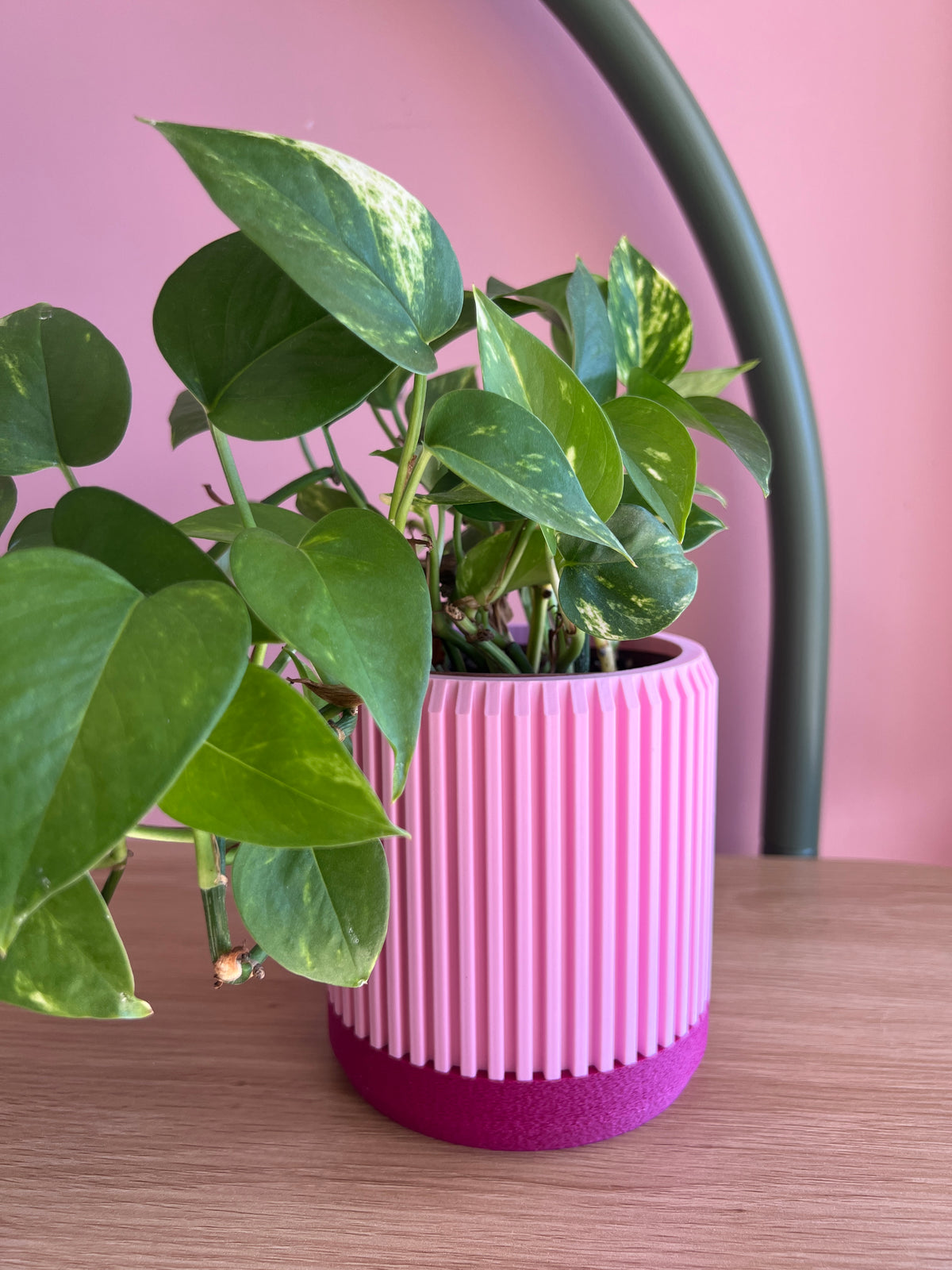 Pink and Fuchsia Planter