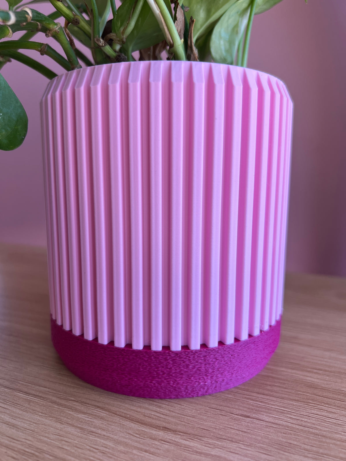 Pink and Fuchsia Planter