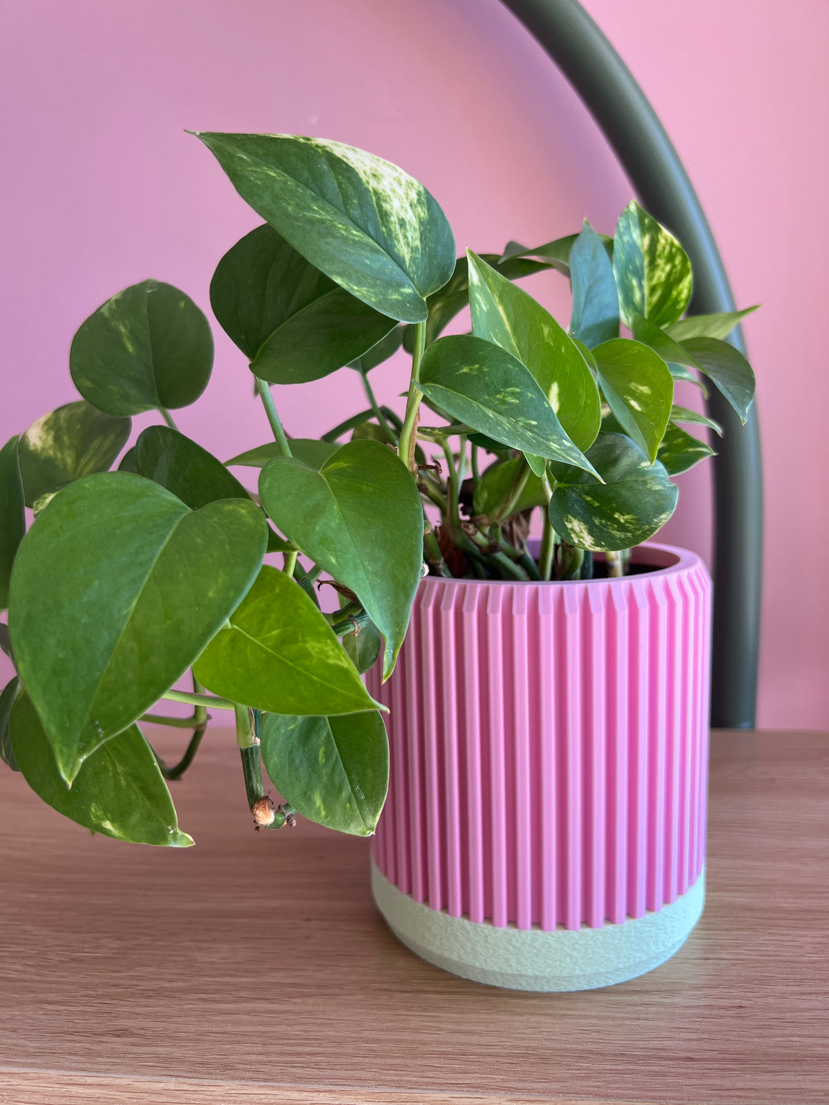 Pink and Mint Planter